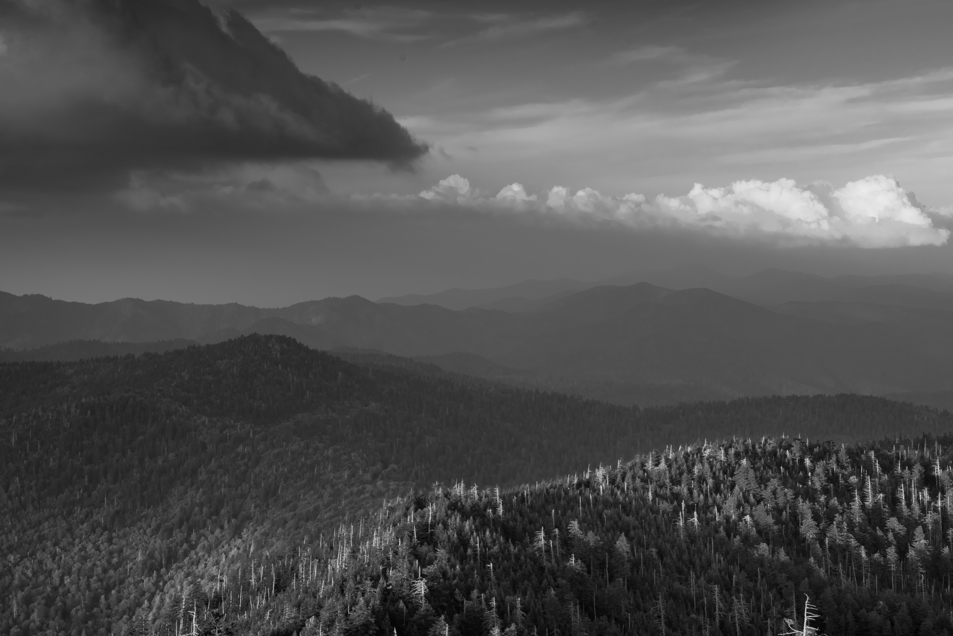 Smokey Mountains NP